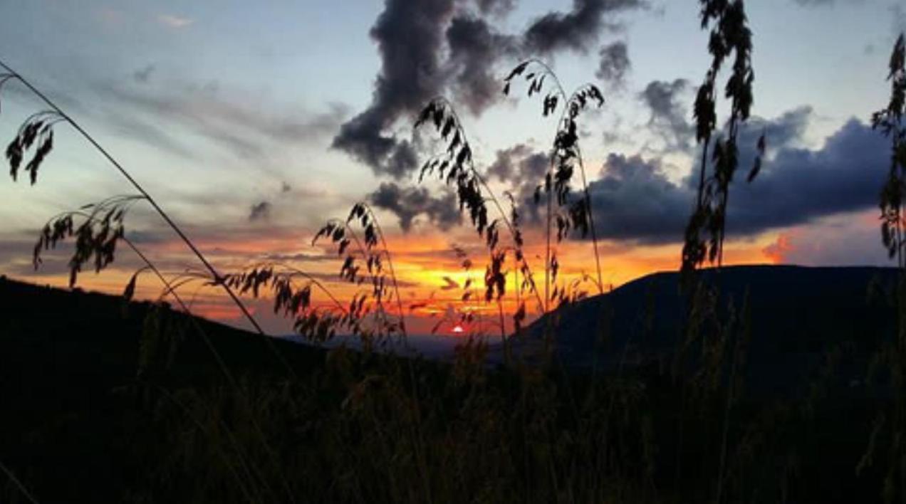 In Sicilia Da Ciro Bed and Breakfast Vita Exterior foto